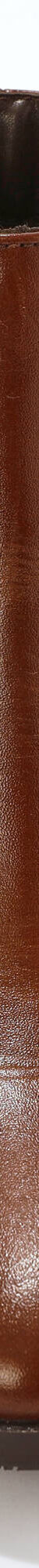 Boots zippées en cuir (marron) Boots zippées en cuir (marron)